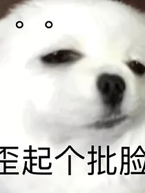 TNT：為什么多余的總是我