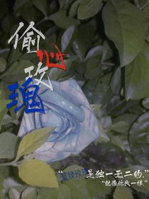 德云社：偷心玫瑰