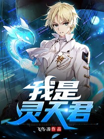 我是靈天君