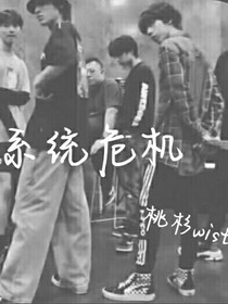 系统危机