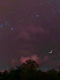 十八线明星