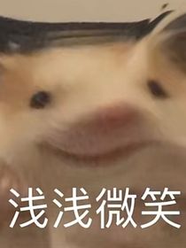 虾仁的小辅