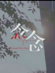 念念电视剧