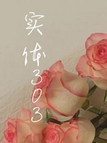 303攻略手册