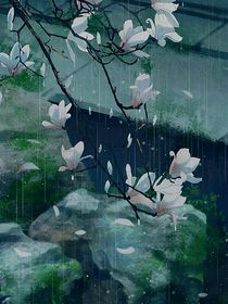 与你归途