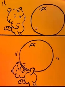 鮫魚皮皮