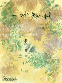 池念的随笔合集