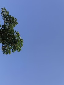 提壶