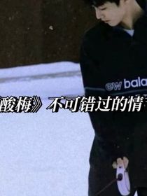 酸梅不可錯過的情節(jié)
