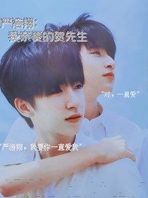 嚴(yán)浩翔：親愛的賀先生