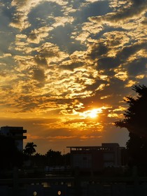 哪怕万里无土，我亦不悔