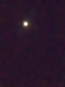 夕比立