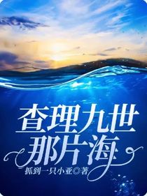 查理九世，那片海