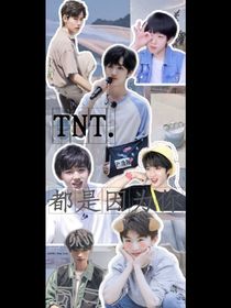 TNT：都是因为你