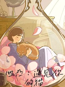 凹凸：遇见你的猫