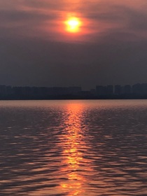 夏日合集