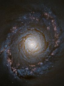 星环之遇