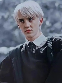 HP：遇见你是我的三生有幸