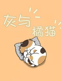 灰与橘猫