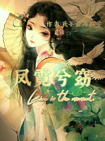 鳳霓兮窈