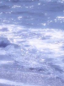 校园中的点滴
