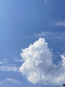 天氣晴