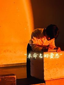 未命名的爱恋