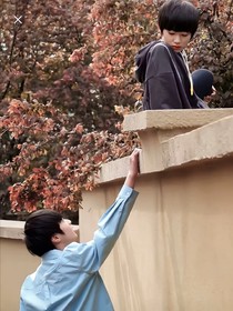 文轩：蒲公英的约定