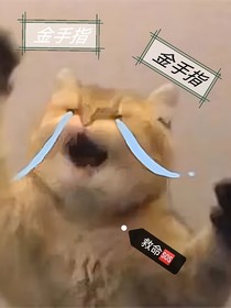 这该死的金手指