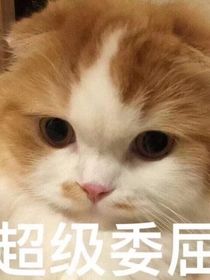 尸人酒棧