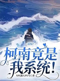 震惊！柯南竟是我系统！
