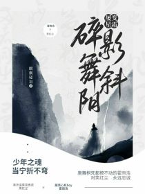 屡变星霜，碎影舞斜阳