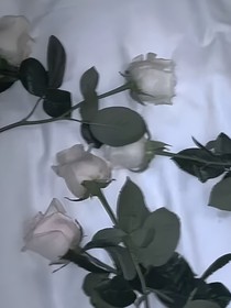 马嘉祺：风中的白玫瑰