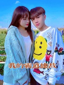 我的總裁在上