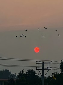 致我的高中
