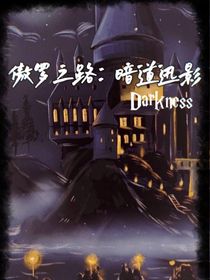 傲罗之路：暗道迅影