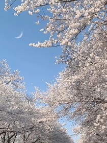 什么时候喜欢你
