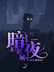 我的世界之暗夜末影城……-d506