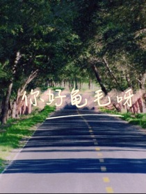 你好龟毛呀