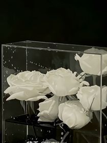 不易时节的花