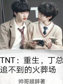 TNT：重生之丁总追不到的火葬场