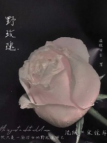 野玫瑰（救赎）
