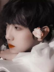 TF三代：妹妹別跑
