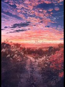 梦之路——