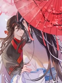 陳情令：我護(hù)崽的那些年