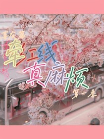 牽紅線真麻煩，第一季，喜灰篇
