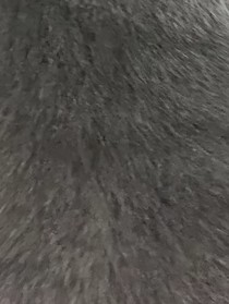渣女静姐