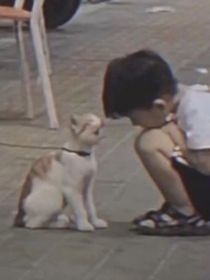 茎环黑玫瑰