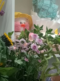 枯萎浪漫