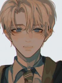 高嶺之花……同桌的你